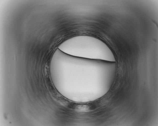X0000100490169200806130803