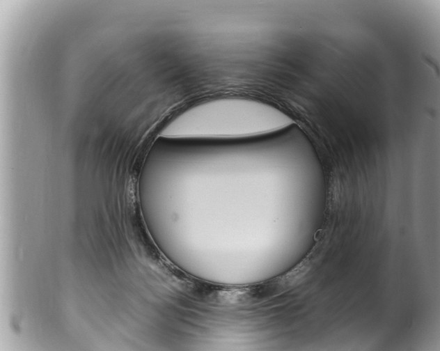 X0000100490172200806130803