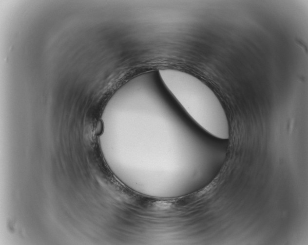 X0000100490176200806130804