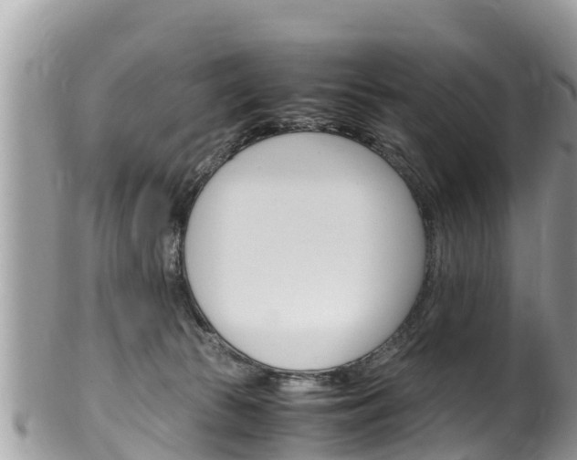 X0000100490177200806130804