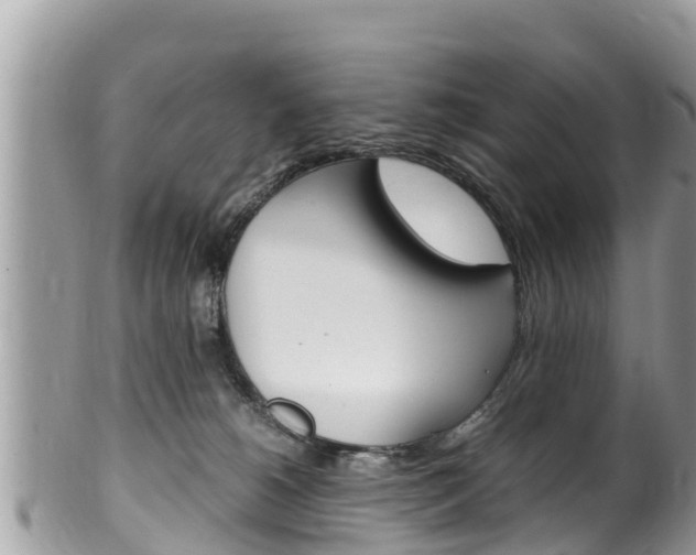 X0000100490180200806130804