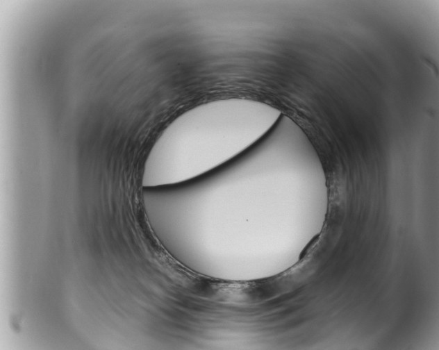 X0000100490182200806130804