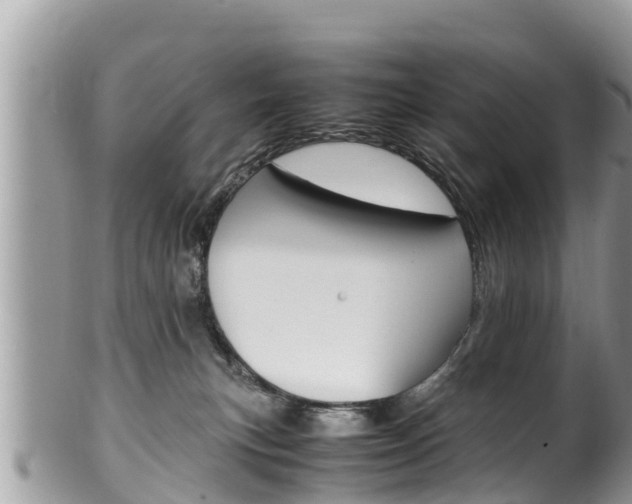 X0000100490183200806130804