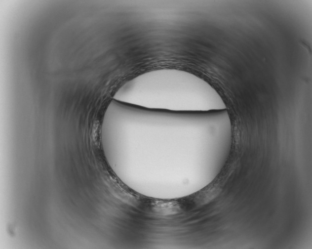 X0000100490185200806130804