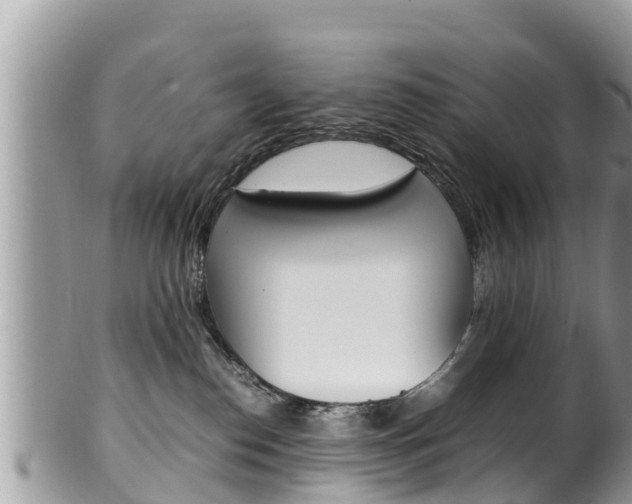 X0000100490186200806130804