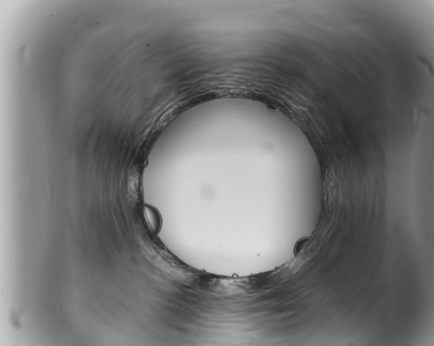 X0000100490188200806130804