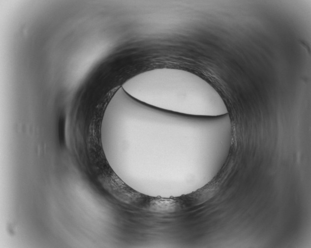 X0000100490189200806130804
