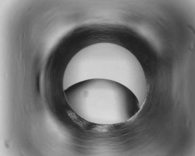 X0000100490190200806130804