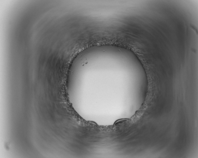X0000100490192200806130804