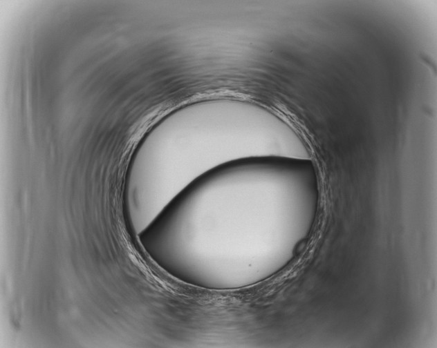 X0000100490193200806130803