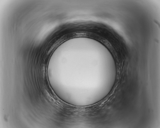 X0000100490194200806130803