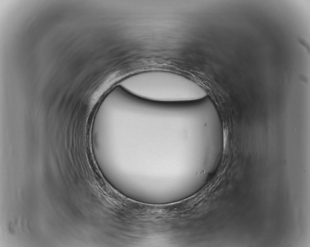 X0000100490195200806130803