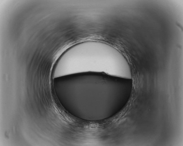 X0000100490196200806130803