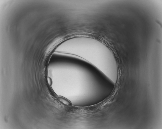 X0000100490197200806130803
