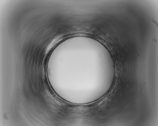 X0000100490198200806130803
