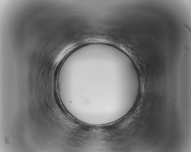 X0000100490199200806130803