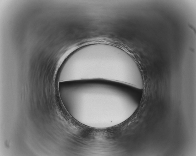 X0000100490200200806130803
