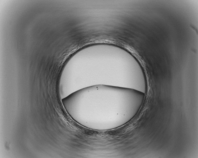 X0000100490201200806130803