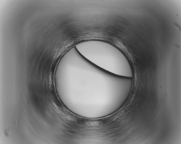 X0000100490202200806130803