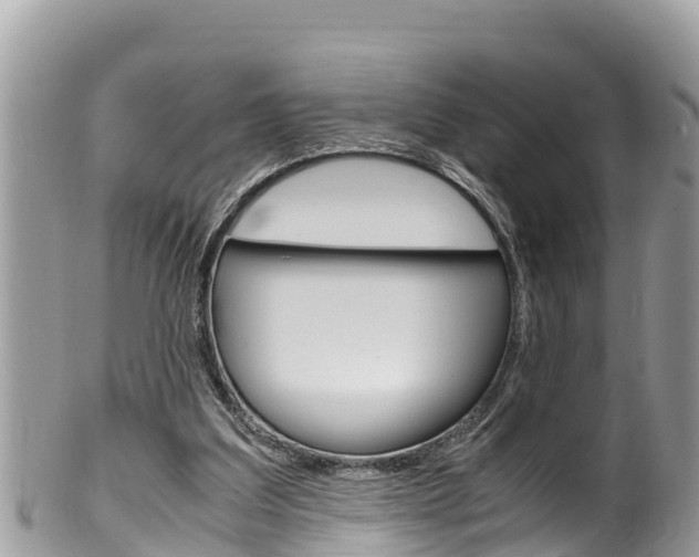 X0000100490203200806130803