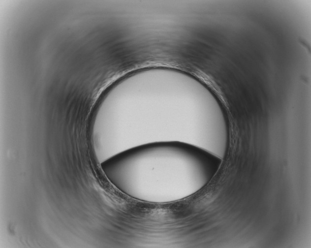 X0000100490204200806130803