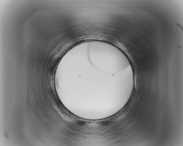 X0000100490205200806130803