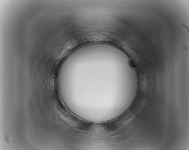 X0000100490207200806130803