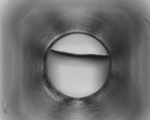 X0000100490208200806130803