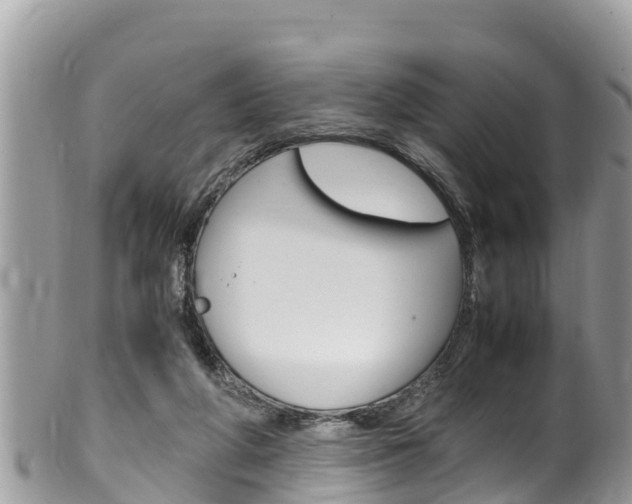 X0000100490210200806130803