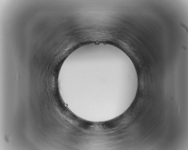 X0000100490211200806130803