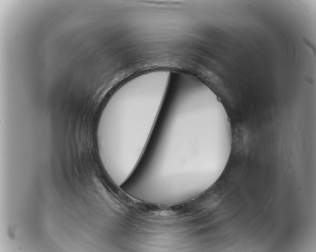 X0000100490212200806130803