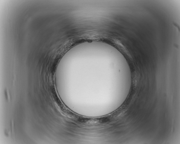 X0000100490213200806130803