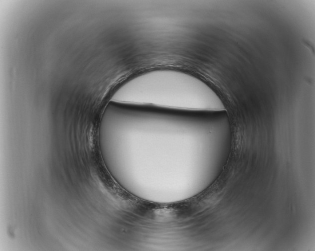 X0000100490216200806130803