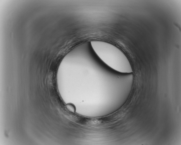 X0000100490217200806130803