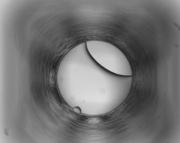X0000100490218200806130803