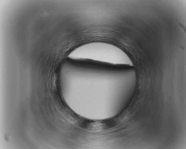 X0000100490219200806130803