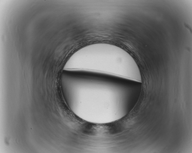 X0000100490221200806130803