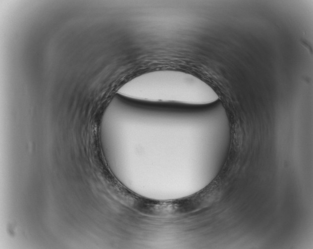 X0000100490225200806130803