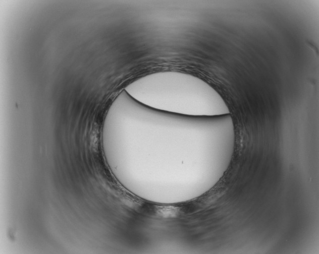 X0000100490226200806130803