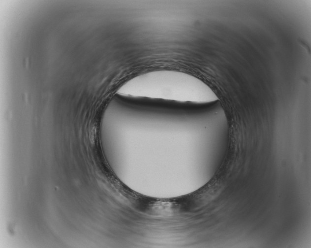 X0000100490227200806130803