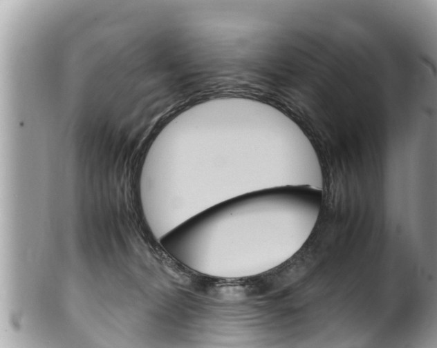X0000100490228200806130803