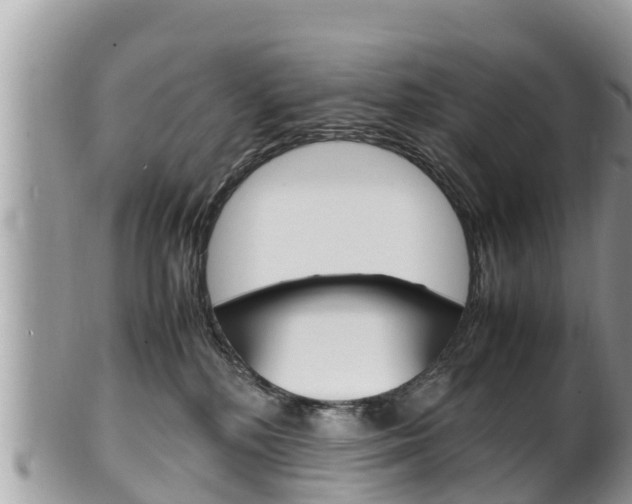 X0000100490232200806130803