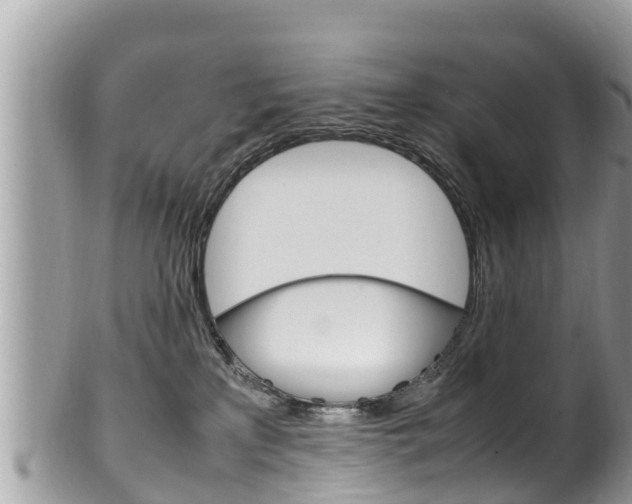 X0000100490233200806130803