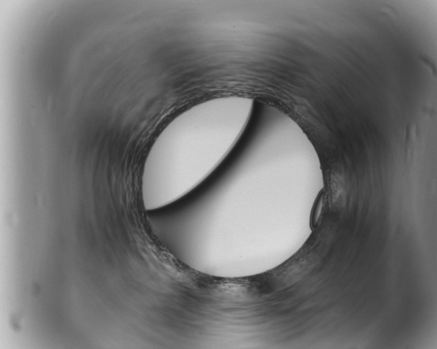 X0000100490236200806130803