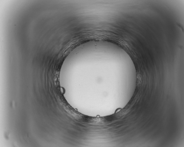X0000100490237200806130803