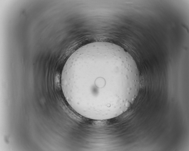X0000100490238200806130802