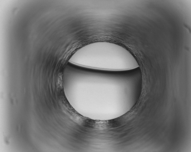 X0000100490240200806130802