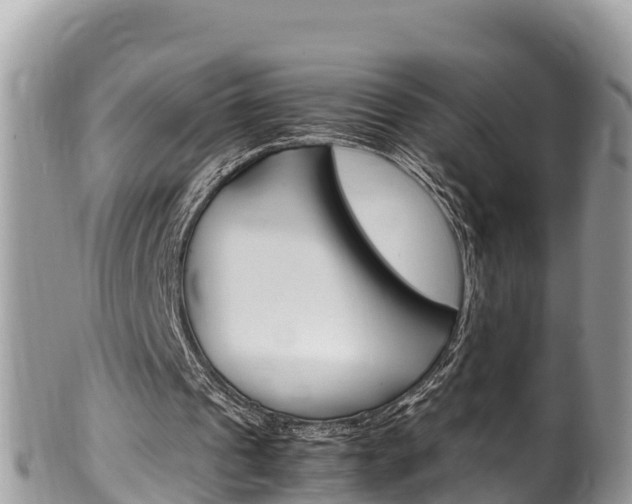 X0000100490241200806130801