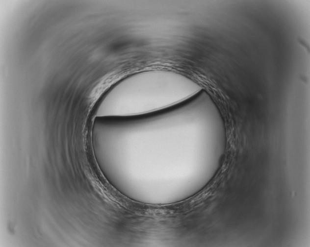 X0000100490242200806130801