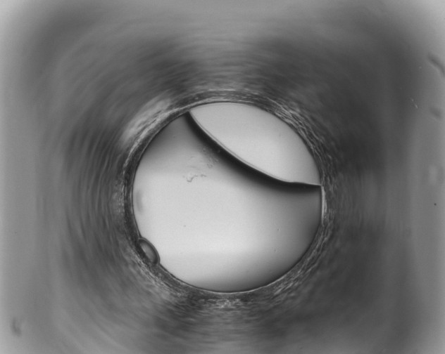X0000100490243200806130801